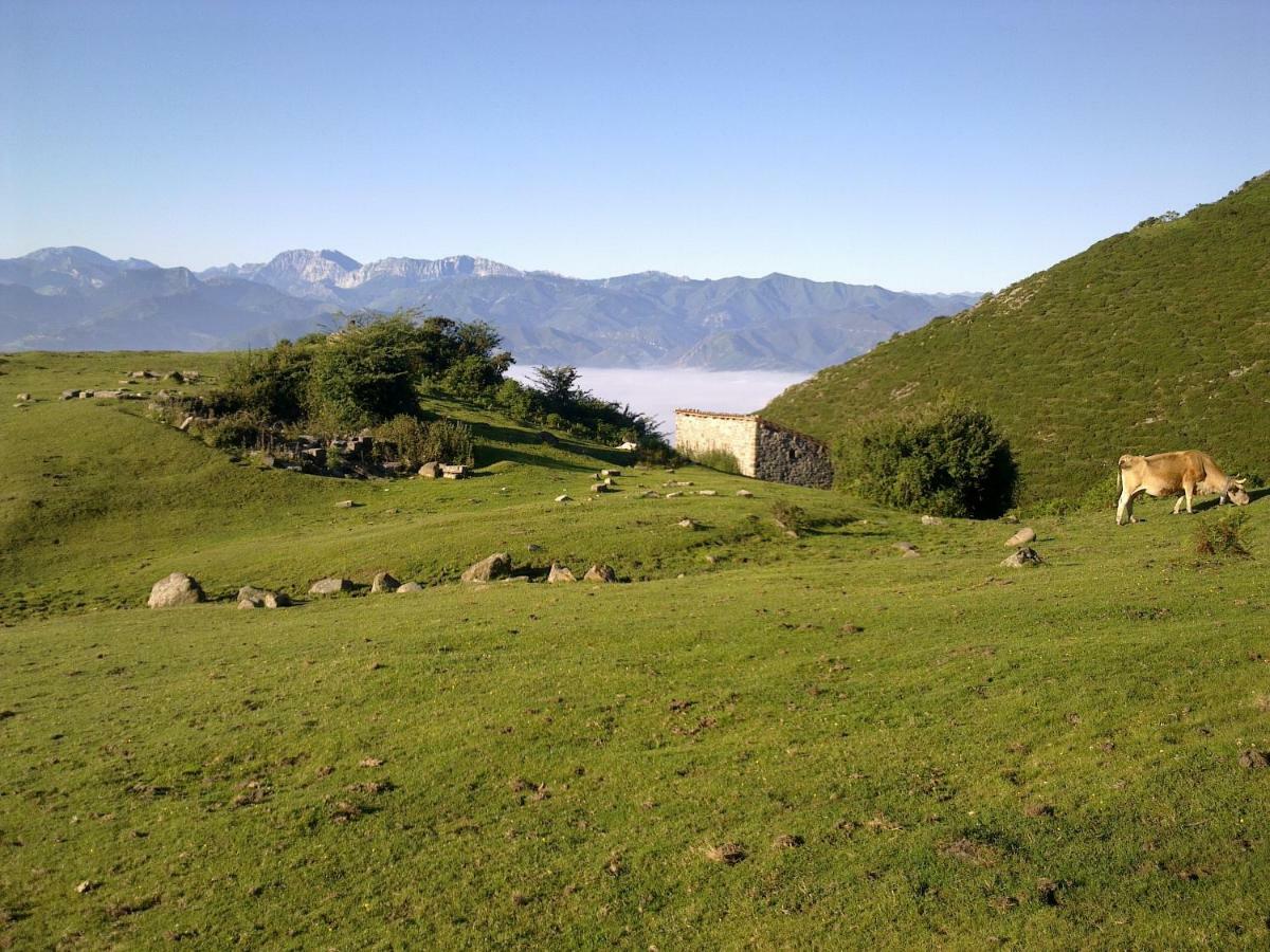 El Sumiciu Guest House Mieres  Luaran gambar