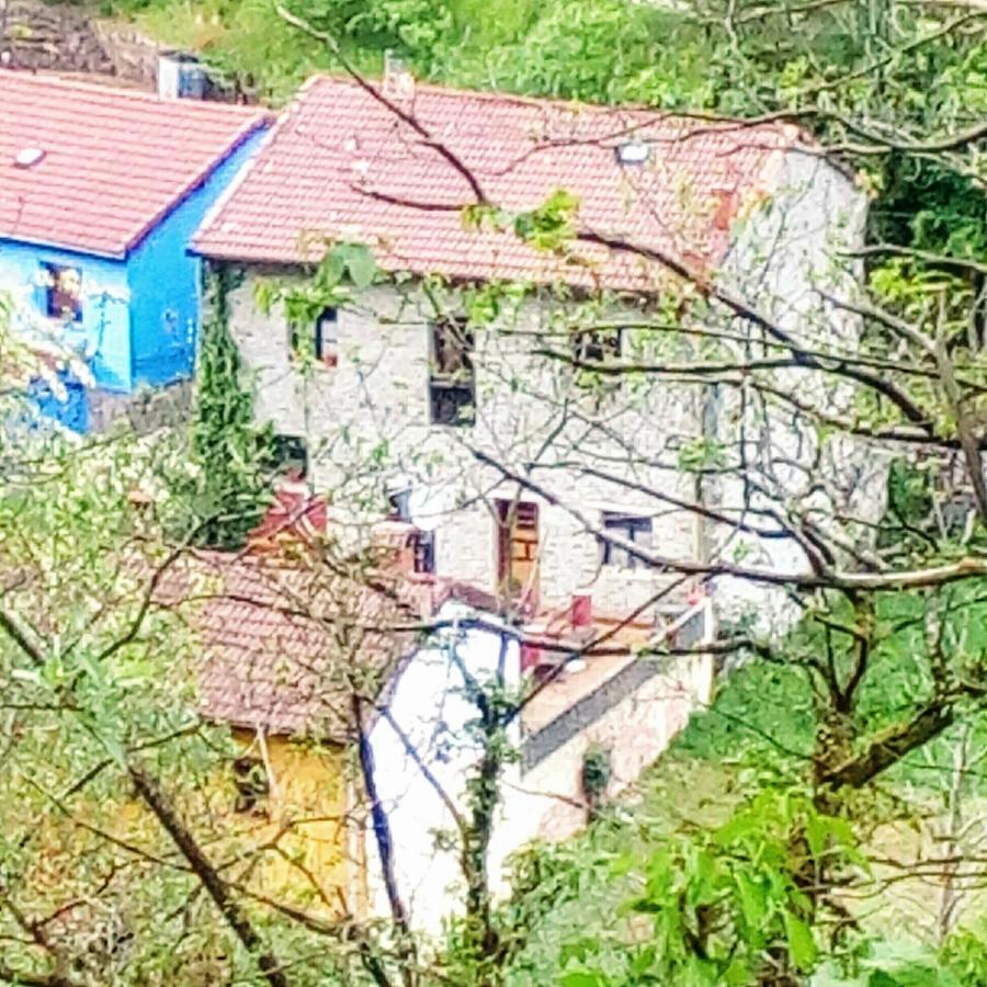 El Sumiciu Guest House Mieres  Luaran gambar